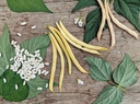 Bush bean, Yellow wax