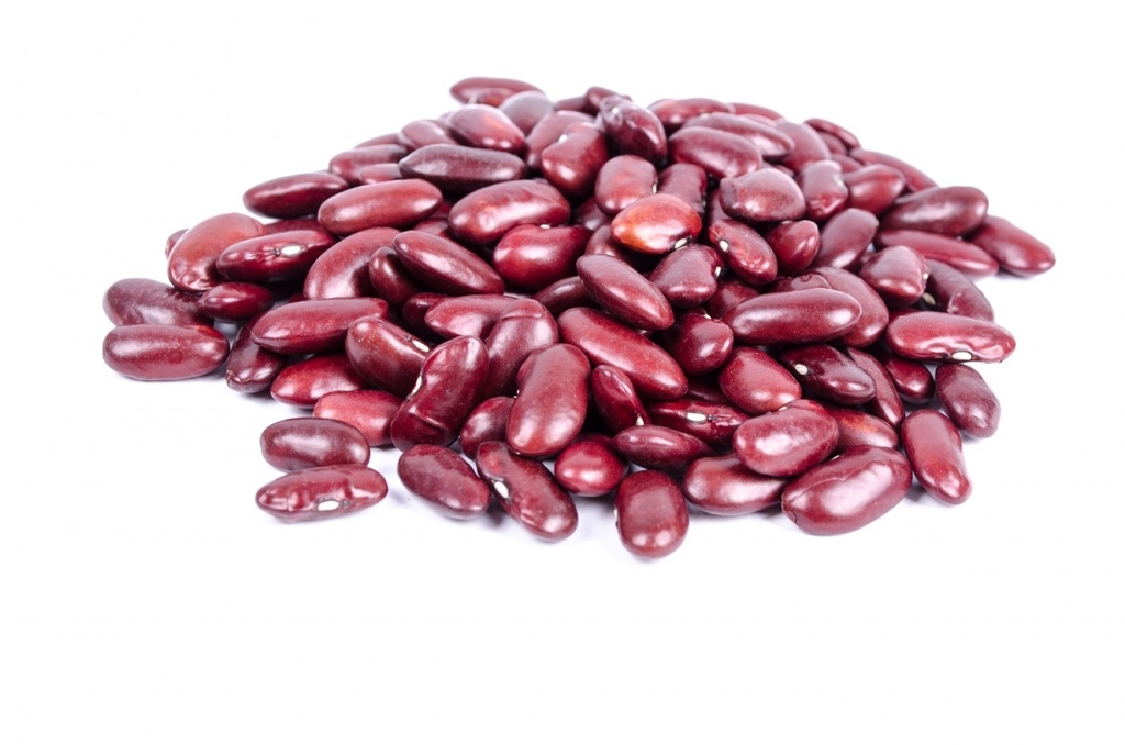 Buschbohne (Indianerbohne) 'Red Kidney'