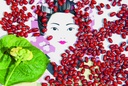 Adzuki bean (Red mung bean) 'Red'