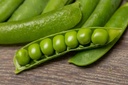 Shelling peas, Miracle of Kelvedon