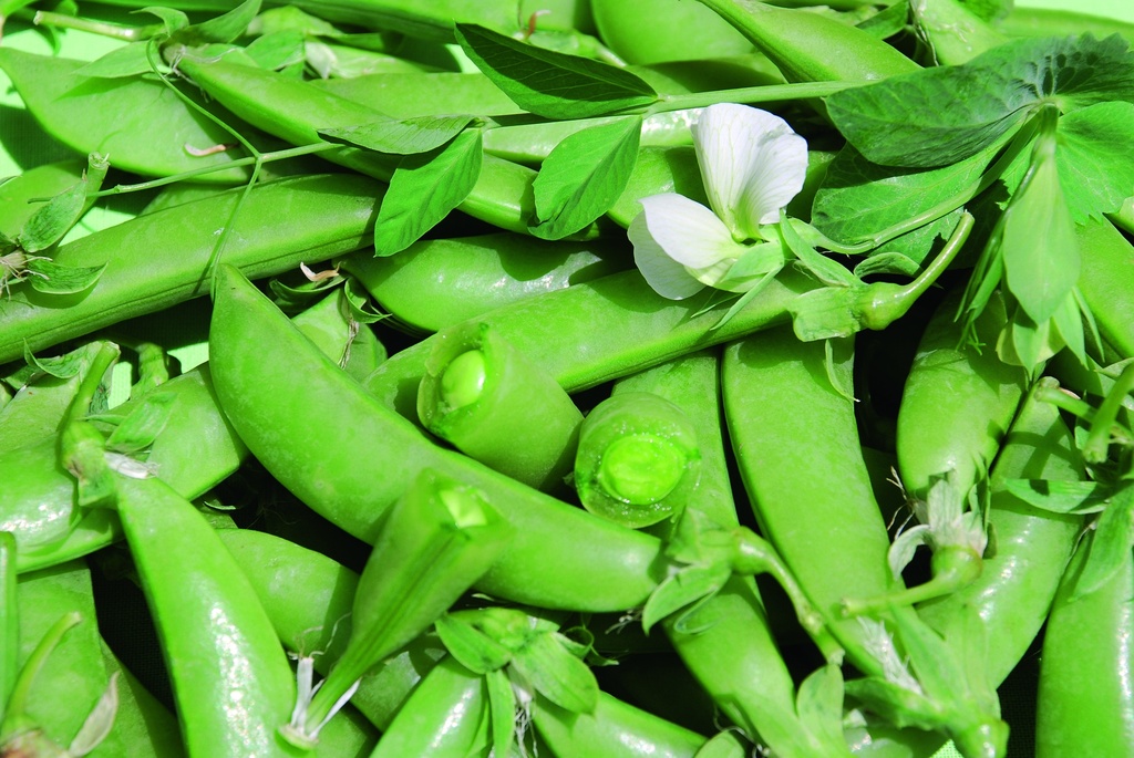 Snap peas, Sugar snap