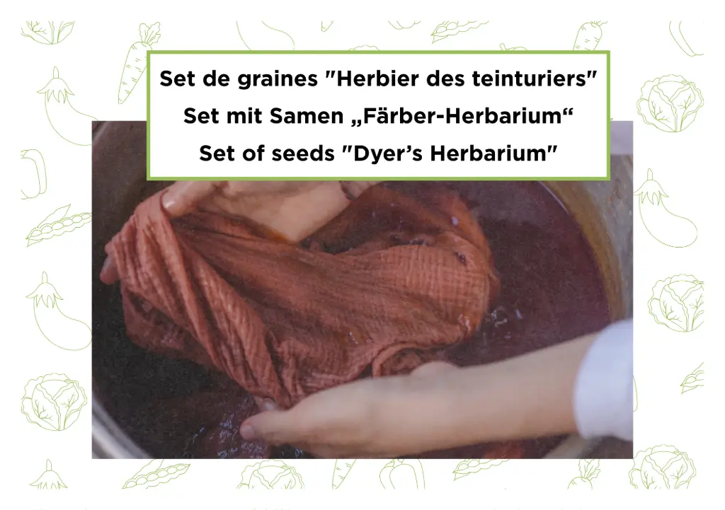 Set de graines "Herbier des teinturiers"