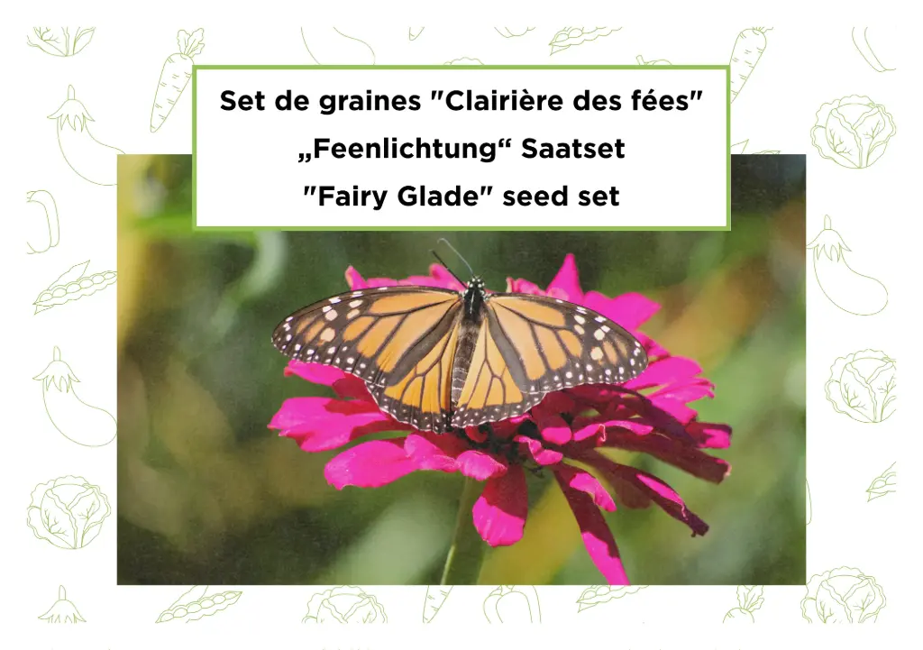 „Feenlichtung“ Saatset