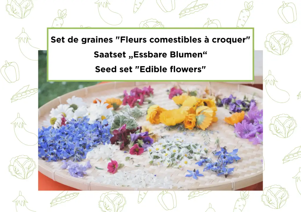 Set de graines "Fleurs comestibles à croquer"