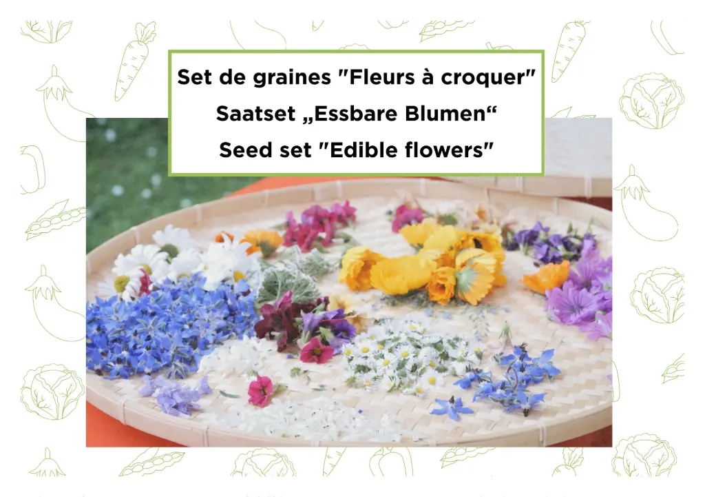 Set di semi "Fiori da gustare"