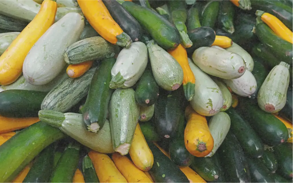 Zucchetti 'Überraschungsmischung'