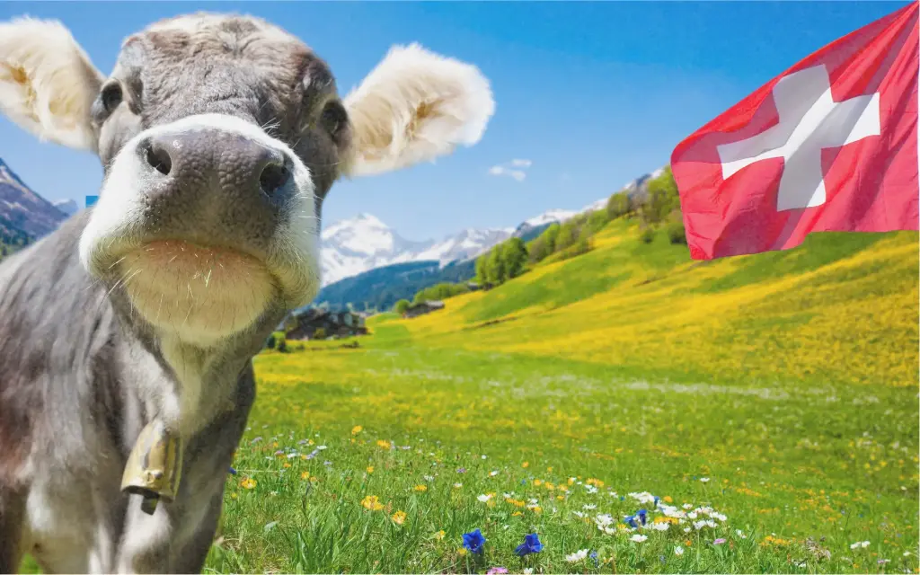 Set de graines "Patrimoine helvétique"