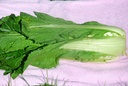Légume Asiatique, Michihili