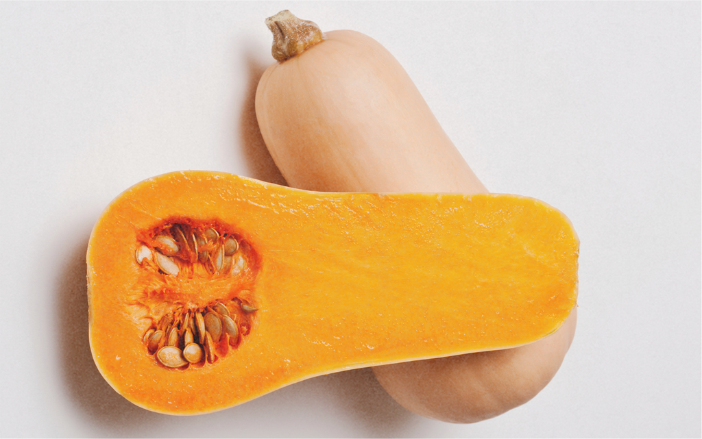 Courge Musquée, Butternut