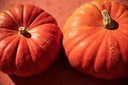 Courge potiron, Rouge Vif d'Etampes