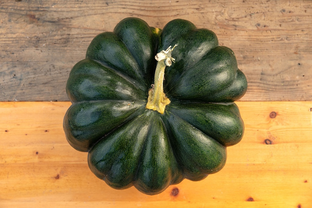 Winter squash, Musquée de Provence