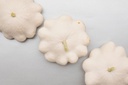 Pattypan squash 'White'