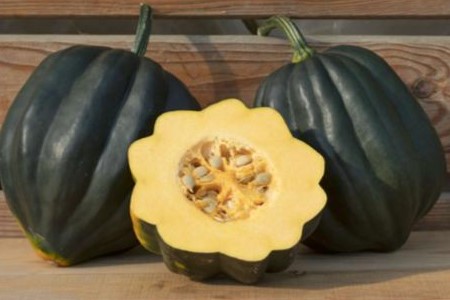 Courge Poivrée, Table Queen