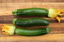 Zucchini, Gray Zucchini Selection Z