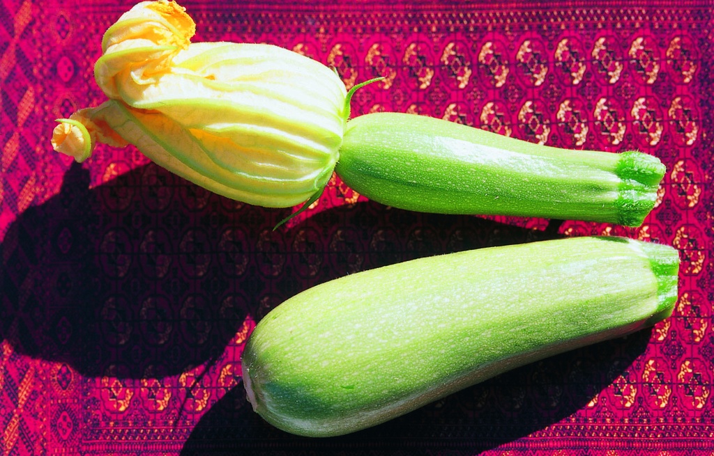 Courgette, Sultan