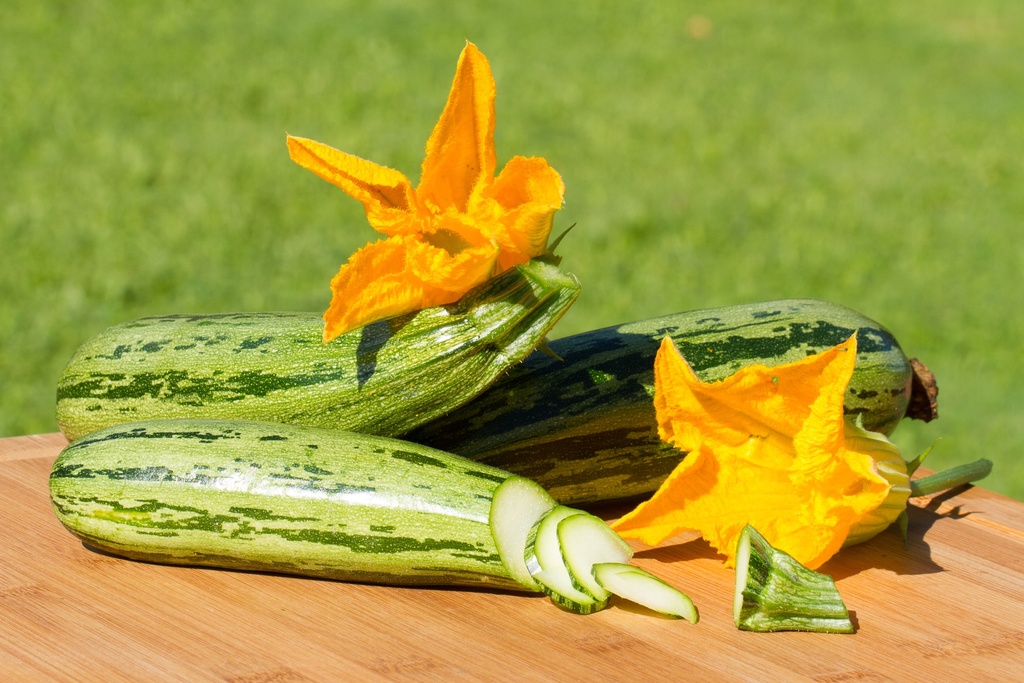 Zucchini, Striped from Genoa