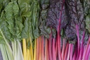 Swiss chard, Rainbow