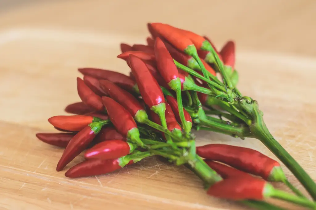 Chili pepper, Fortissimo Selection Z