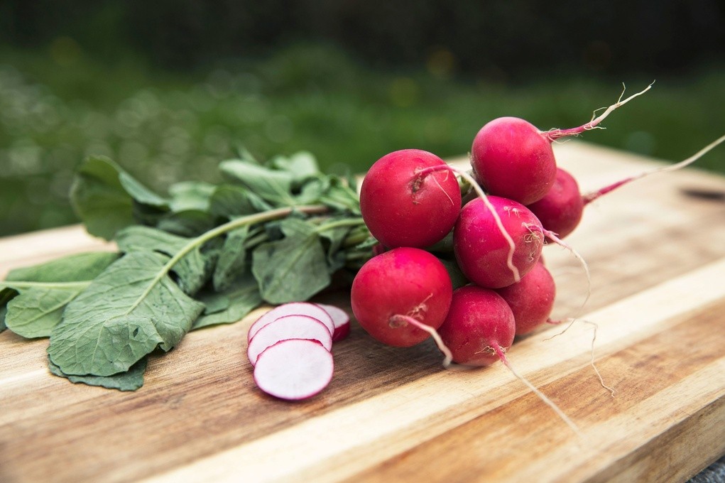 Radish, Cherry belle