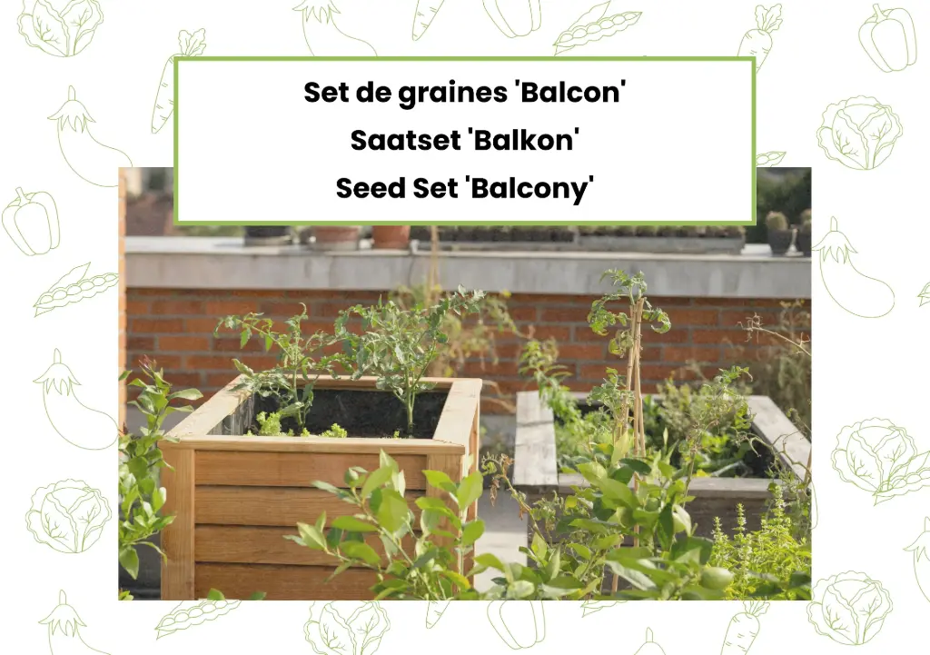 Set di semi 'Balcone'