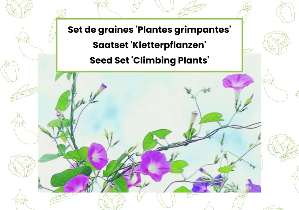 Seed Set 'Climbing Plants'