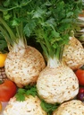 Celeriac (Celery root), Balba