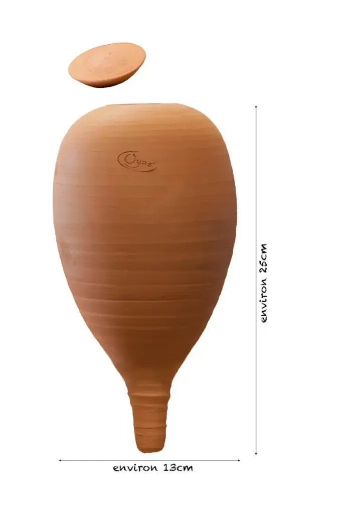 Oyas® to plant Medium