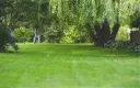 Lawn