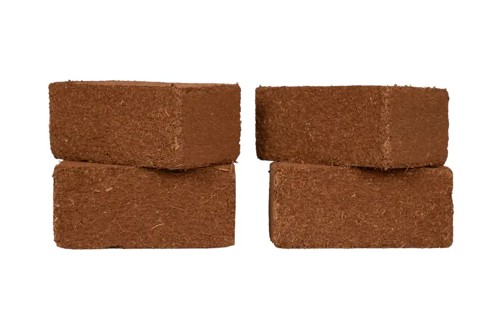 Coconut Block