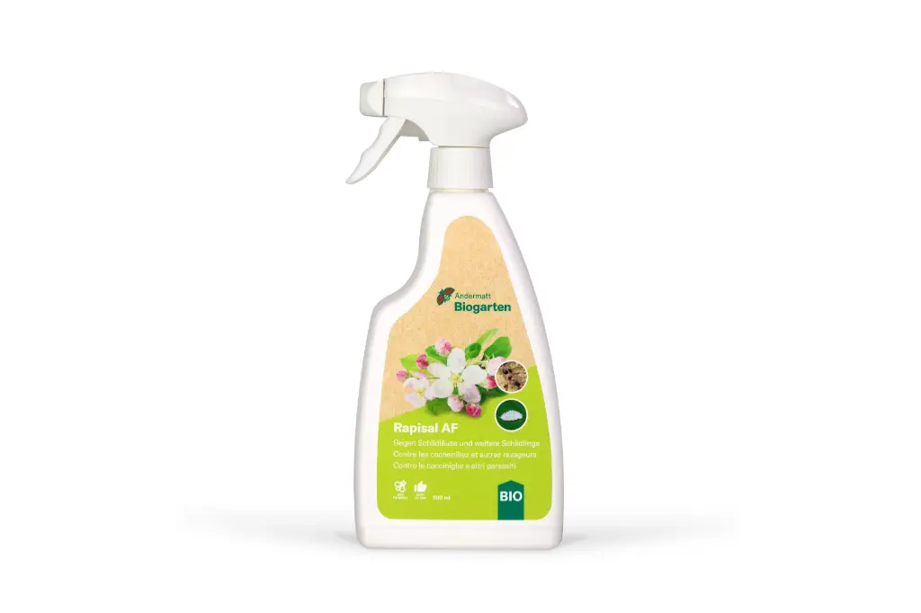 Rapisal - Spray prêt à l'emploi (500ml)