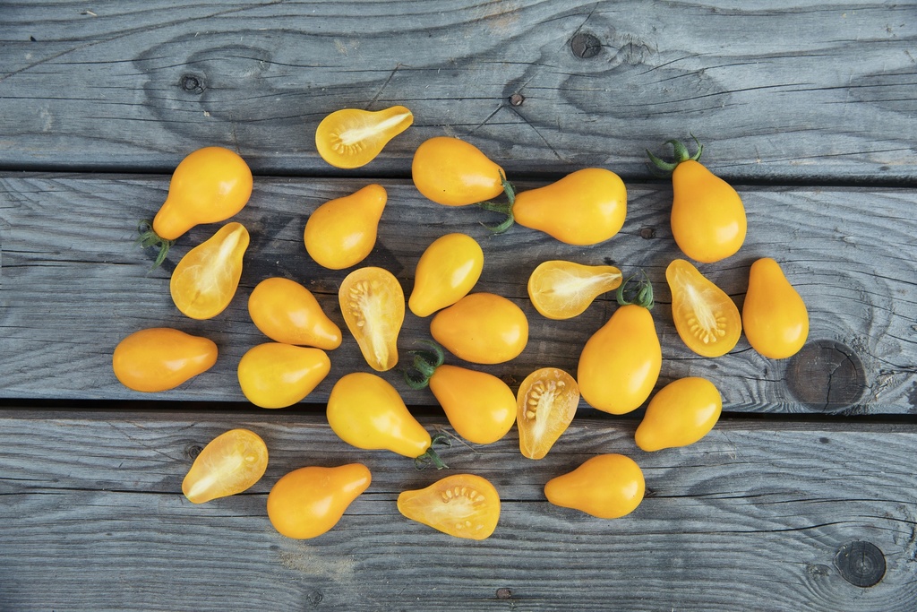 Tomate, Minipoire Jaune
