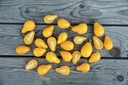 Tomate, Minipoire Jaune