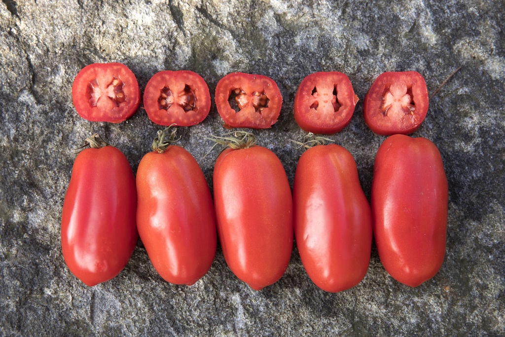 Pomodoro, San Marzano 2