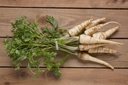 Root parsley