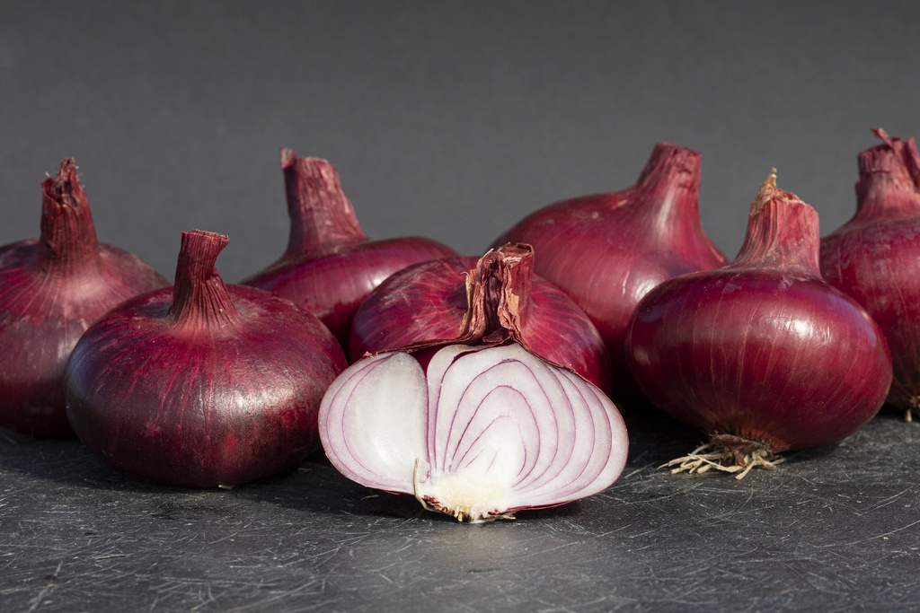 Zwiebeln, Rote Wädenswiler Selektion Z