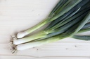 Scallion (Spring onion), White shaft