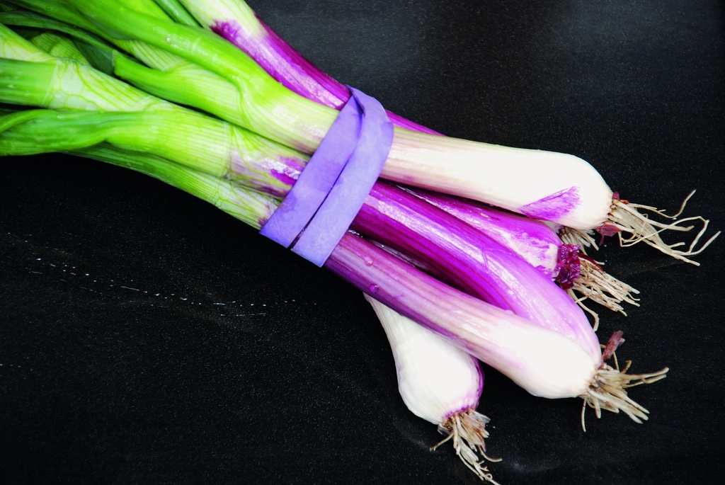 Oignon à Tige, Tige Rouge