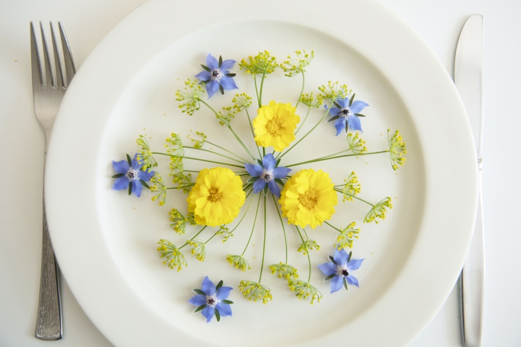 Mélange de Fleurs Annuel, Fleurs Comestibles