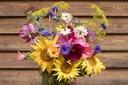 Cutting flower mix, Love letter (annual)