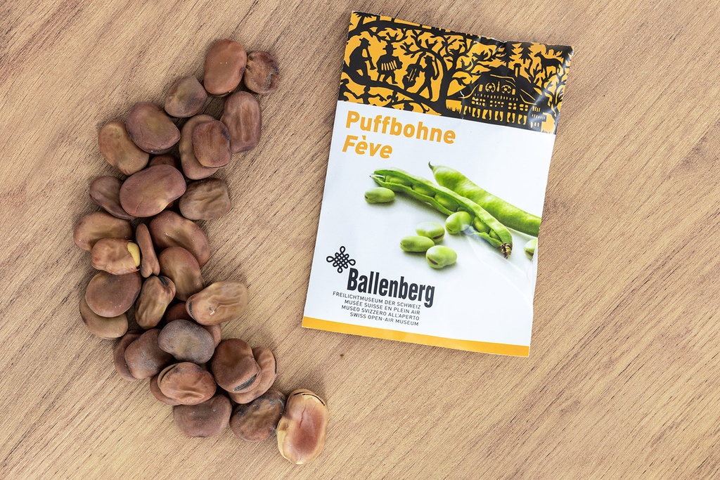Fava bean, Broad bean (Ballenberg Edition)