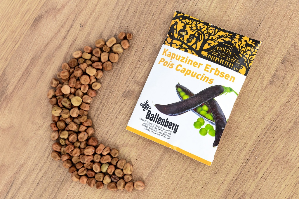 Shelling peas, Capuchin (Ballenberg Edition)