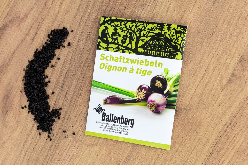 Scallion, Spring onion  (Ballenberg Edition)