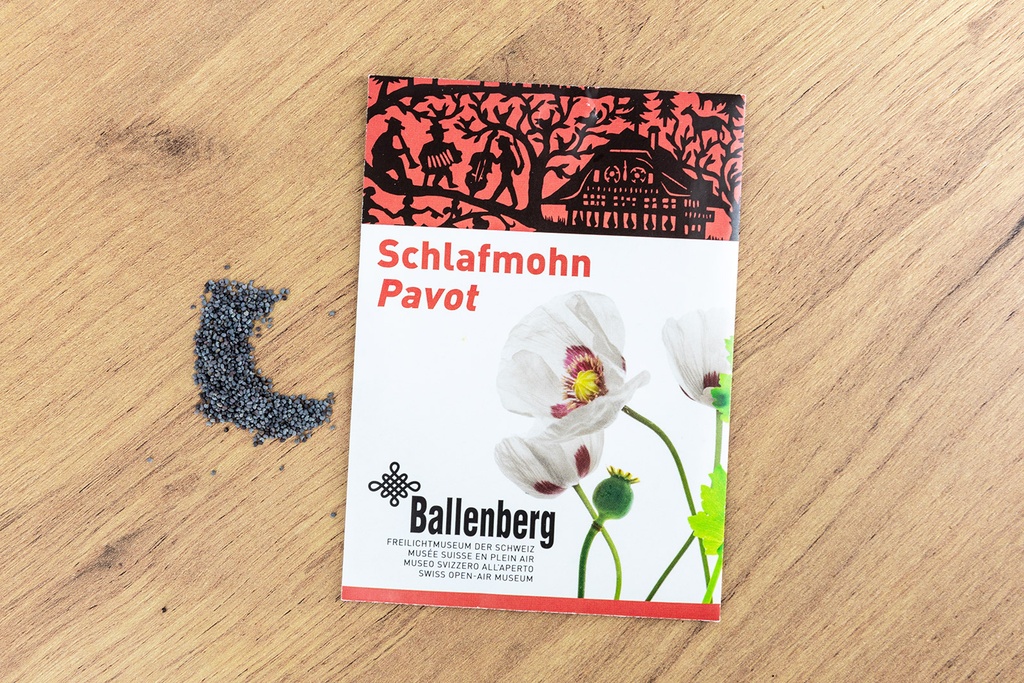Papaver/Mohn, Weisse Wolke (Ballenberg-Edition)