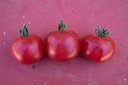 Tomato, Rose de Berne Sélection Z