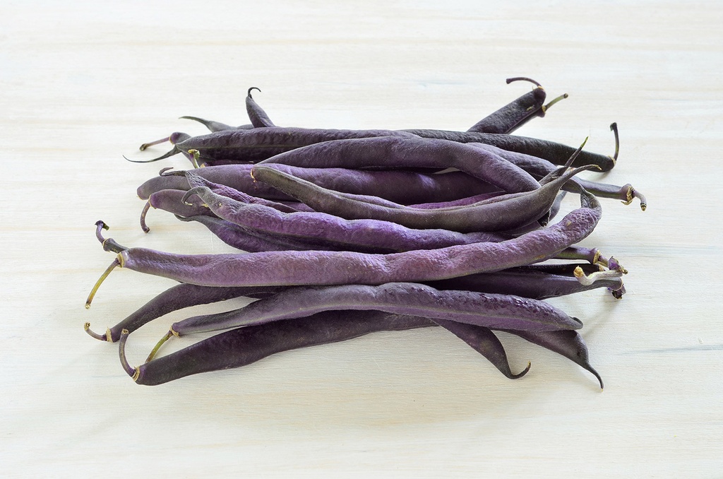 Haricot Nain, Purple Queen