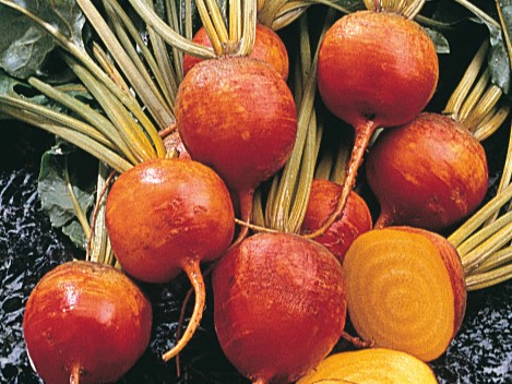 Beet (Beetroot), Burpees Golden