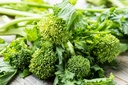Cima di Rapa (Brocoletti), Andria