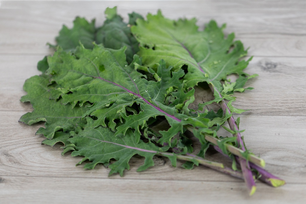 Grünkohl (Kale), Roter Russe