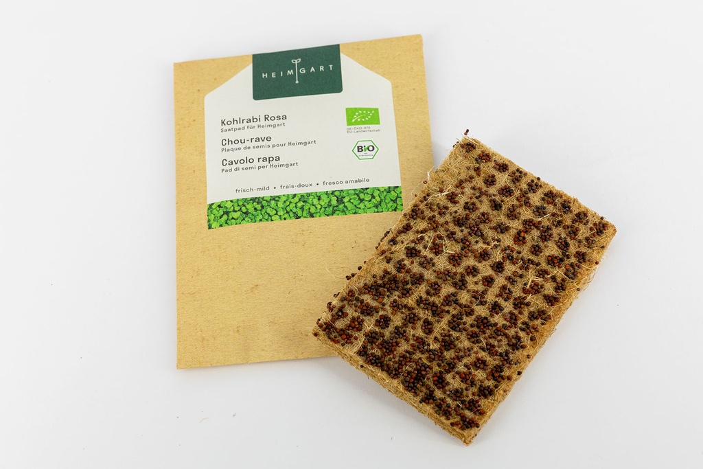 Microgreens, Cavolo rapa (Heimgart)
