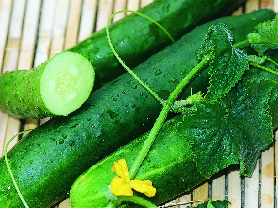 Graines de légumes / Concombres, Cornichons / Concombres